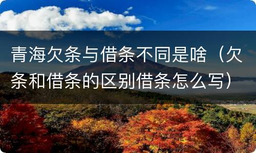 青海欠条与借条不同是啥（欠条和借条的区别借条怎么写）