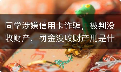 同学涉嫌信用卡诈骗，被判没收财产，罚金没收财产刑是什么