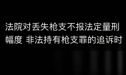法院对丢失枪支不报法定量刑幅度 非法持有枪支罪的追诉时效