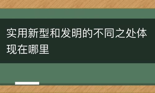 实用新型和发明的不同之处体现在哪里