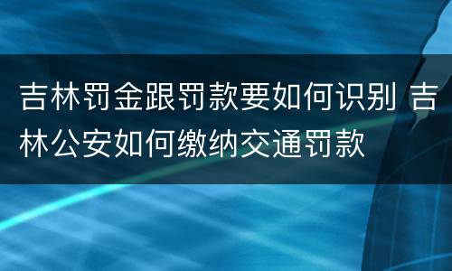 吉林罚金跟罚款要如何识别 吉林公安如何缴纳交通罚款