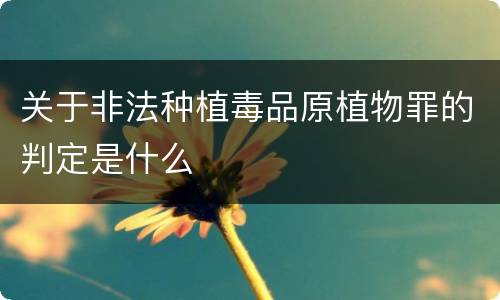 关于非法种植毒品原植物罪的判定是什么