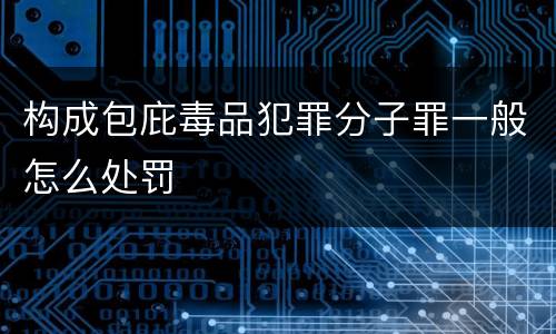 构成包庇毒品犯罪分子罪一般怎么处罚
