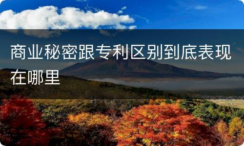 商业秘密跟专利区别到底表现在哪里