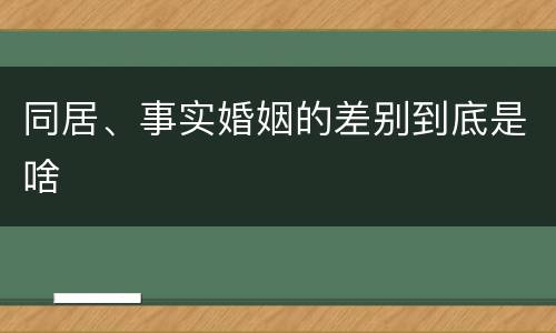 同居、事实婚姻的差别到底是啥
