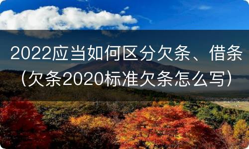2022应当如何区分欠条、借条（欠条2020标准欠条怎么写）