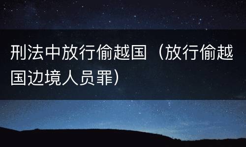 刑法中放行偷越国（放行偷越国边境人员罪）
