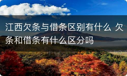 江西欠条与借条区别有什么 欠条和借条有什么区分吗