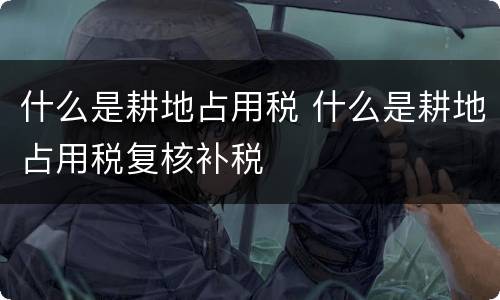 什么是耕地占用税 什么是耕地占用税复核补税
