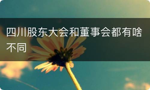 四川股东大会和董事会都有啥不同