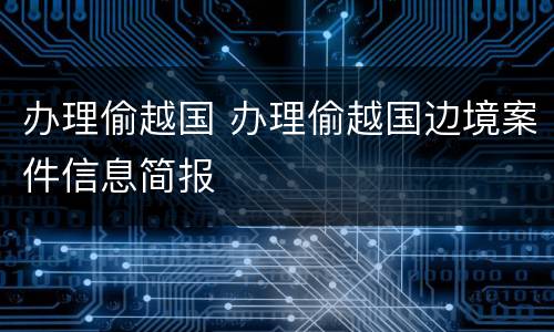 办理偷越国 办理偷越国边境案件信息简报