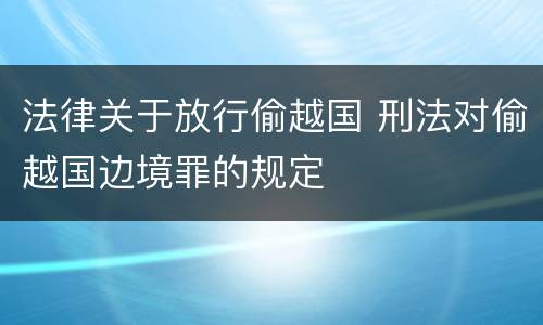 法律关于放行偷越国 刑法对偷越国边境罪的规定
