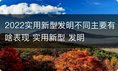 2022实用新型发明不同主要有啥表现 实用新型 发明