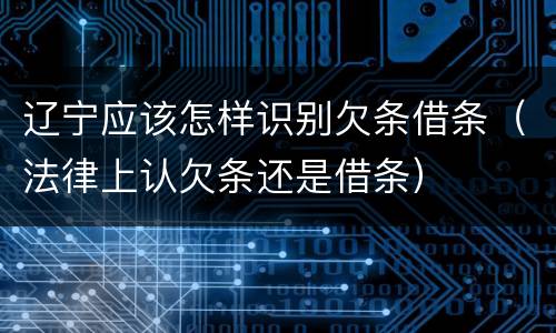 辽宁应该怎样识别欠条借条（法律上认欠条还是借条）