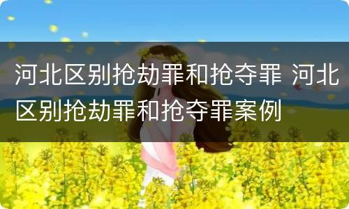 河北区别抢劫罪和抢夺罪 河北区别抢劫罪和抢夺罪案例