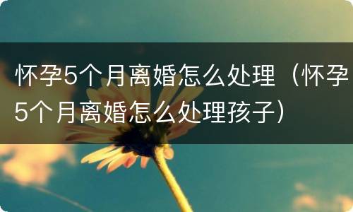 怀孕5个月离婚怎么处理（怀孕5个月离婚怎么处理孩子）