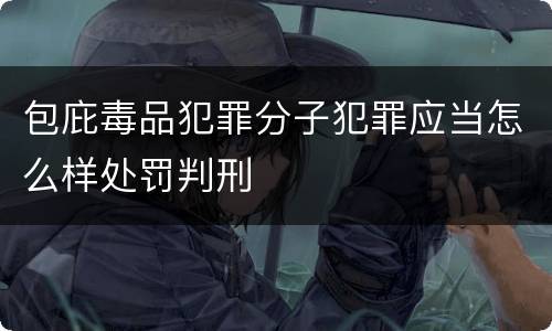 包庇毒品犯罪分子犯罪应当怎么样处罚判刑