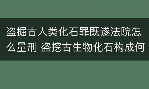 盗掘古人类化石罪既遂法院怎么量刑 盗挖古生物化石构成何罪