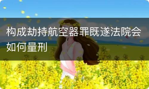 构成劫持航空器罪既遂法院会如何量刑