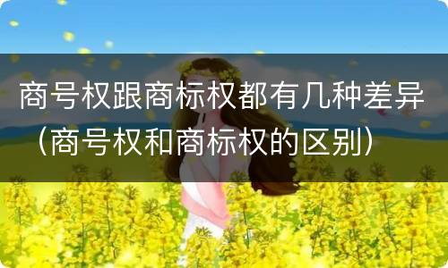 商号权跟商标权都有几种差异（商号权和商标权的区别）