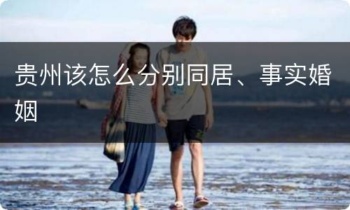 贵州该怎么分别同居、事实婚姻