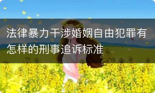 法律暴力干涉婚姻自由犯罪有怎样的刑事追诉标准
