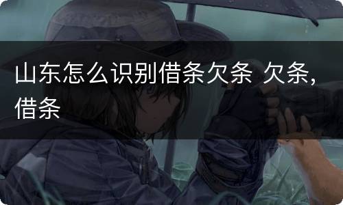 山东怎么识别借条欠条 欠条,借条