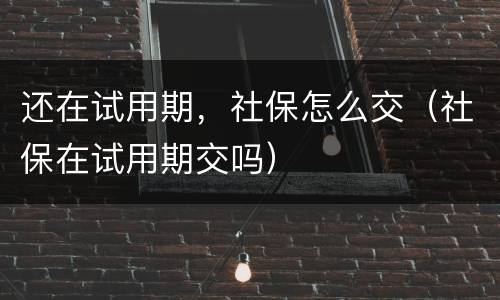 还在试用期，社保怎么交（社保在试用期交吗）