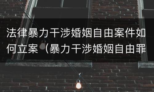 法律暴力干涉婚姻自由案件如何立案（暴力干涉婚姻自由罪）
