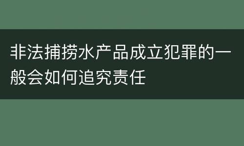 非法捕捞水产品成立犯罪的一般会如何追究责任