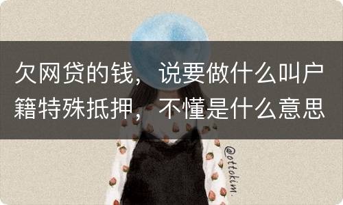欠网贷的钱，说要做什么叫户籍特殊抵押，不懂是什么意思