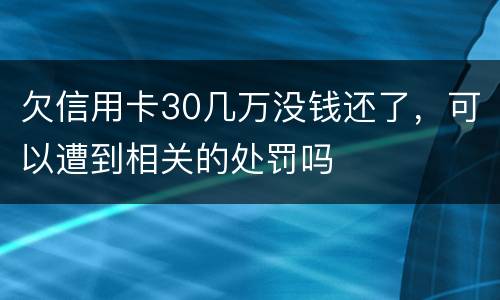 欠信用卡30几万没钱还了，可以遭到相关的处罚吗