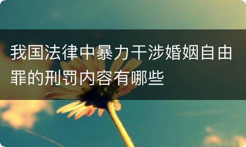 我国法律中暴力干涉婚姻自由罪的刑罚内容有哪些