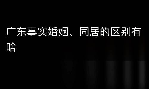 广东事实婚姻、同居的区别有啥