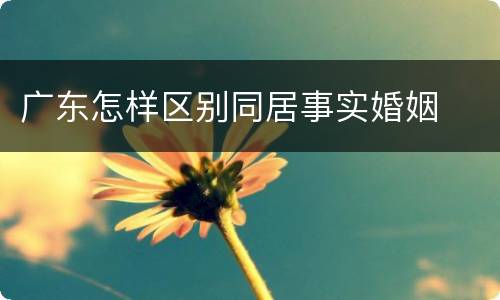 广东怎样区别同居事实婚姻