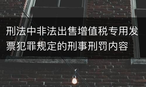 刑法中非法出售增值税专用发票犯罪规定的刑事刑罚内容