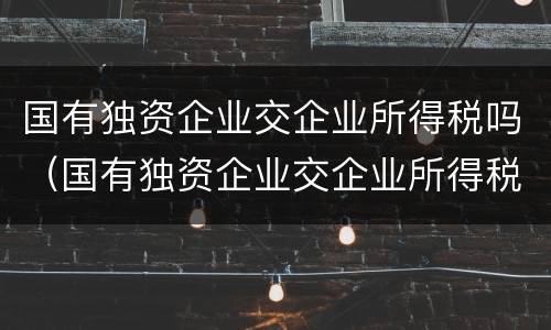 国有独资企业交企业所得税吗（国有独资企业交企业所得税吗）