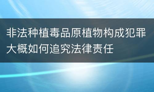 非法种植毒品原植物构成犯罪大概如何追究法律责任