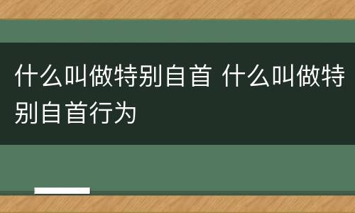 什么叫做特别自首 什么叫做特别自首行为