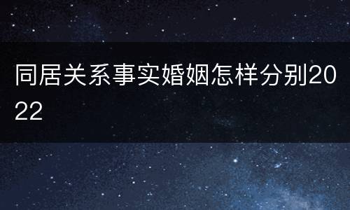 同居关系事实婚姻怎样分别2022