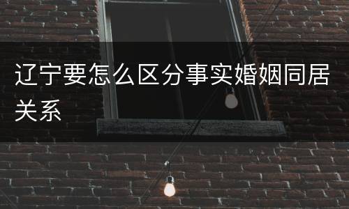 辽宁要怎么区分事实婚姻同居关系