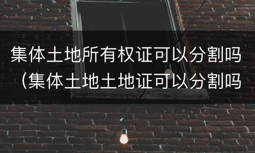 集体土地所有权证可以分割吗（集体土地土地证可以分割吗?如何办理?）