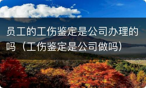 员工的工伤鉴定是公司办理的吗（工伤鉴定是公司做吗）