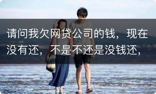 请问我欠网贷公司的钱，现在没有还，不是不还是没钱还，