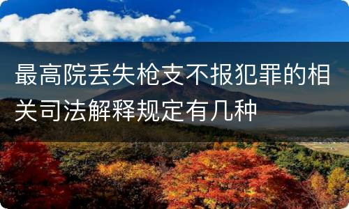 最高院丢失枪支不报犯罪的相关司法解释规定有几种