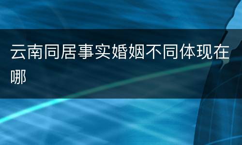 云南同居事实婚姻不同体现在哪