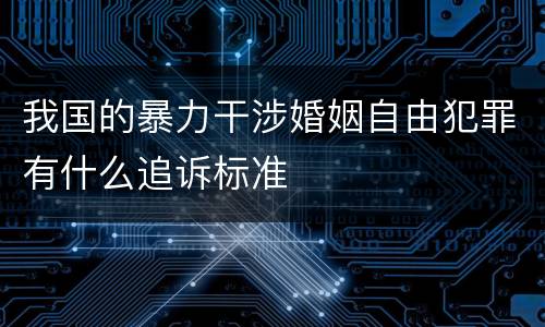 我国的暴力干涉婚姻自由犯罪有什么追诉标准