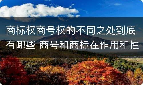 商标权商号权的不同之处到底有哪些 商号和商标在作用和性质上的区别