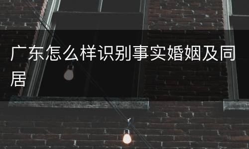 广东怎么样识别事实婚姻及同居