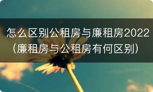 怎么区别公租房与廉租房2022（廉租房与公租房有何区别）